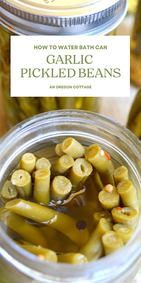 A recipe and tutorial for home canned pickled beans flavored with garlic, mustard seeds, and red pepper flakes (to your taste). These pickled green beans are a perfect balance of spice, salt, and sweet for salads, antipasto plates, appetizers and snacking. Pickled Beans, Antipasto Plate, Pickled Green Beans, Garlic Mustard, Best Vegetable Recipes, Roasted Tomato Sauce, Preserving Recipes, Vegetable Plate, Pickle Recipes