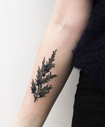 Wildflowers Tattoo, Fenrir Tattoo, Plant Tattoos, Pine Tattoo, Botanical Tattoos, Juniper Tree, M Tattoos, Wildflower Tattoo, Plant Tattoo