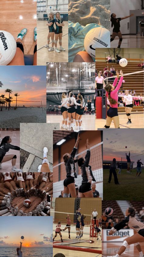 Volleyball aesthetic collage Volleyball Facts, Volleyball Wallpapers, Volleyball Images, Volleyball Backgrounds, Volleyball Aesthetic, Volleyball Photography, Volleyball Wallpaper, Volleyball Poses, Volleyball Inspiration