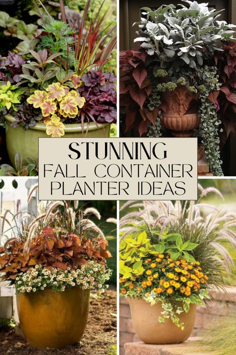 How to create attractive fall planters to showcase the colors of autumn Fall Garden Pots, Fall Garden Container Ideas, Fall Patio Planter Ideas, Fall Planter Arrangements Outdoor, Outdoor Fall Container Ideas, Fall Plant Container Ideas, Fall Planter Ideas Front Porches Modern, Fall Plants For Containers, Fall Plantar Ideas