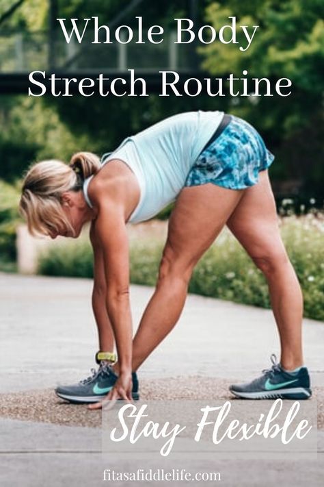 Everyday Flexibility Routine, Stretch Class Routine, Daily Stretching Routine For Beginners, Stiff Body Stretches, Bjj Stretches, Streching Excersise Daily, Daily Stretches For Beginners, Full Body Stretching Routine Flexibility, Functional Stretching