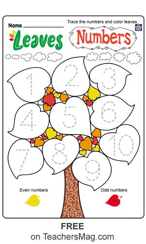 To do this worksheet students can trace the numbers and then color the leaves that are even number yellow and odd numbers red. Fall Number Tracing, Kindergarten Fall Worksheets, Fall Preschool Worksheets, Fall Worksheets, Fall Preschool Activities, Kartu Doa, Fall Math, Fall Kindergarten, Printable Preschool Worksheets