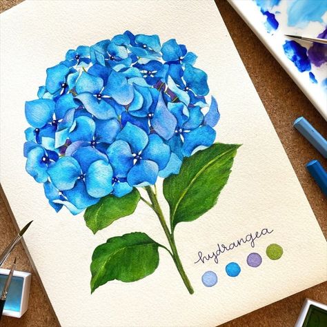 Alice on Instagram: “▫️Hydrangea▫️ . Coloured pencils + watercolours = a blue hydrangea, step-by-step 💙 . . - masking fluid: @schmincke_official - coloured…” Realistic Flower Drawing, Digitalis Purpurea, Drawing Colouring, Hydrangeas Art, Watercolor Hydrangea, Circular Art, Hydrangea Painting, Marjolein Bastin, Flowers Drawing