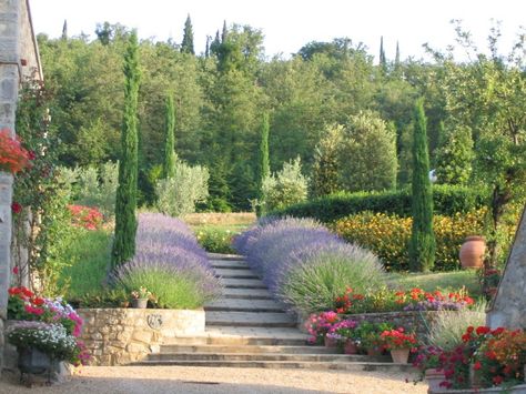 French inspiration Italian Garden Ideas, Tuscan Style Garden, Cat Mint, Mediterranean Garden Design, Italian Cypress, Tuscan Garden, Tuscan Landscaping, Italian Garden, Mediterranean Garden