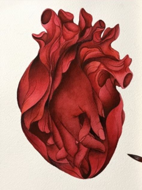 Anatomical Heart Aesthetic, Human Heart Painting, Anatomical Heart Painting, Red Heart Drawing, Human Heart Illustration, Heart Digital Art, Yuumei Art, Anatomical Heart Art, Sketch Watercolor