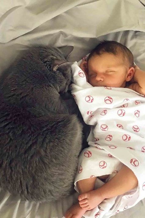 These Photos of Cats With Their Tiny Humans Prove Dogs Have Nothing on Felines Photos Of Cats, Baby Pictures Newborn, Miracle Morning, Human Babies, Pet Mom, Cat Photos, Baby Crying, Newborn Baby Photography, Funny Cat Pictures