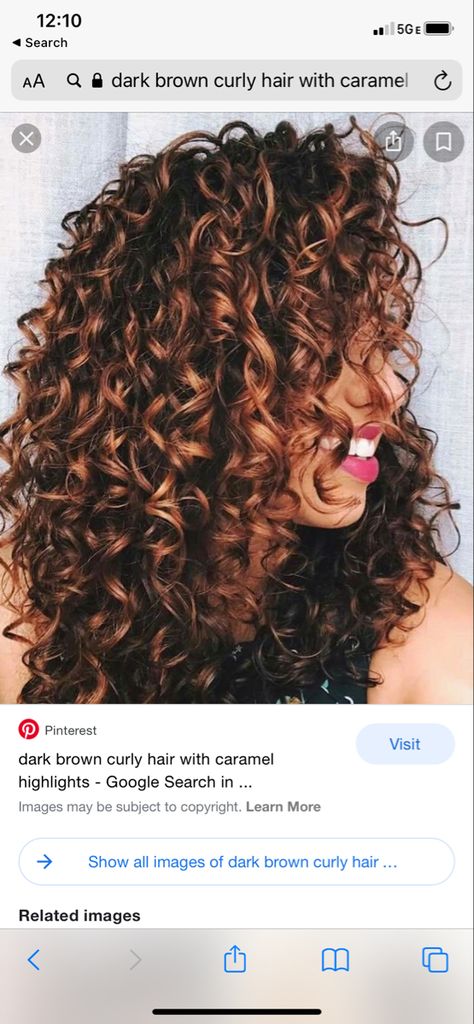 Copper Hair For Curly Hair, Curly Hilights Natural Hair, Red Lowlights In Brown Hair Curly, Red Highlights In Light Brown Hair Curly, Naturally Curly Hair Fall Color Ideas, Short Curly Hair Brown With Highlights, Copper Red Highlights Curly Hair, Short Curly Fall Hair Color, Best Hair Color For Curly Hair Natural Curls