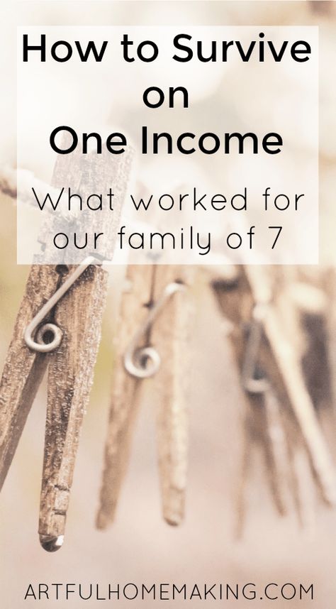 How to survive on one income. Frugal ideas and money-saving tips from a family of seven.  #frugalliving #frugal #savingmoney #oneincome #largefamily How To Save Food For Years, One Income Family Budget, Frugal Homemaking, One Income Family, Family Cloth, Appalachian People, Economic Terms, Family Of 7, Frugal Habits