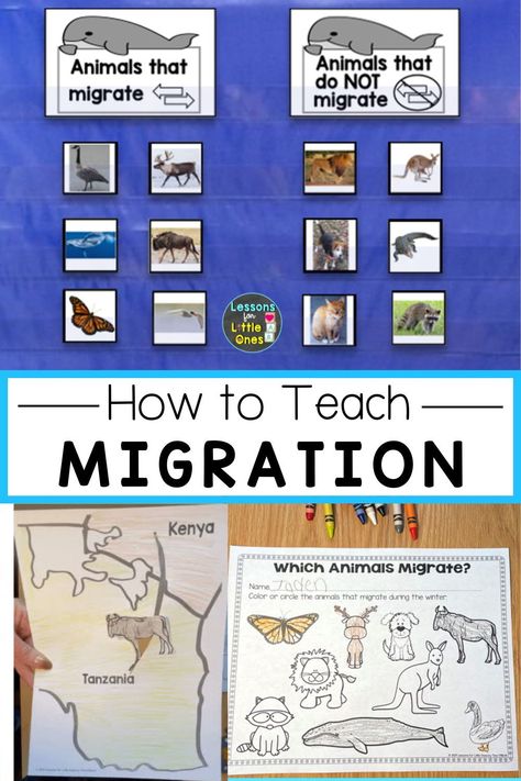 Explore animal migration with engaging crafts like monarch butterfly art and interactive movable migration maps. These activities help students understand how animals migrate in winter while reinforcing creativity and learning Migration Activities For Preschool, Migration Activities For Kids, Migrating Animals, Migration Activities, Monarch Butterfly Art, January Themes, Animal Migration, O Block, Activities For Preschool