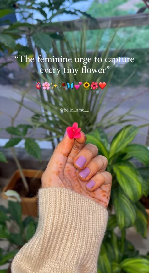 Flower Quote Aesthetic, Flower Snap Caption, Flower Snap Streaks, Art Snapchat Story, Flower Snap Ideas, Instagram Flower Story Ideas, Caption For Flowers Pictures, Flower Poses Photo Ideas, Flowers Aesthetic Captions