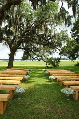 Jesus Wedding, Wedding Bench, Wedding Ceremony Seating, Backyard Wedding Ceremony, Wooden Benches, Lowcountry Wedding, Under A Tree, Summer Backyard, Ceremony Seating