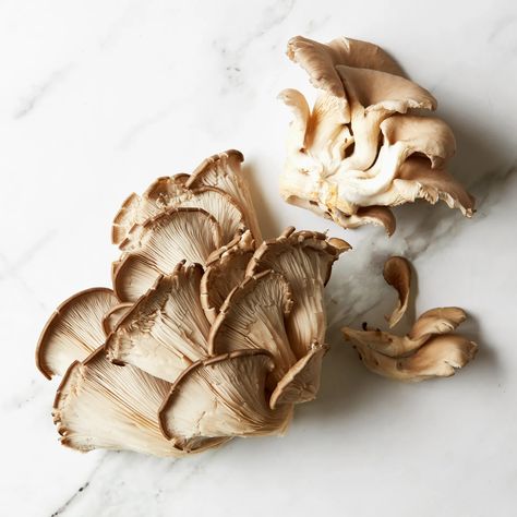 15 Types of Mushrooms and How to Cook With Them | Epicurious Mushroom Types, Different Types Of Mushrooms, Different Mushrooms, Mushroom Polenta, Types Of Mushrooms, White Button Mushrooms, Local Pizza, Crimini Mushrooms, Maitake Mushroom