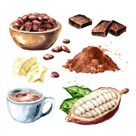 Cocoa Products, Chocolate Business Ideas, Hot Cocoa Drink, Cocoa Drink, Chocolate Labels, Bean Pods, Cacao Beans, Chocolate Butter, Butter Chocolate