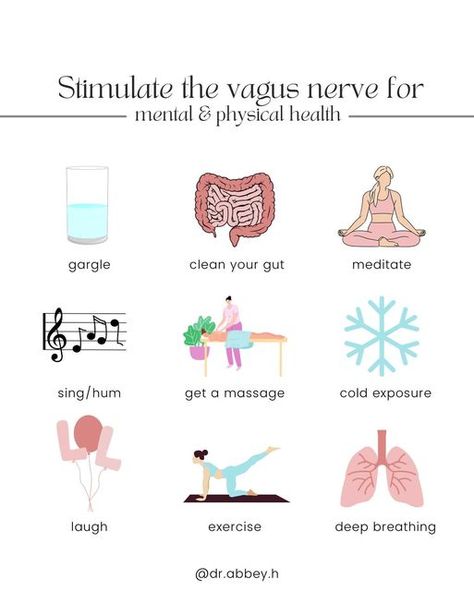 Dr. Abbey | Brain Health on Instagram: "SAVE this post for when you need it! The Vagus Nerve is a crucial component of the parasympathetic nervous system (rest & digest), which helps control a vast array of bodily functions, including control of mood, immune system, digestion, and heart rate. Next time you are feeling stressed, run down, or overwhelmed, try stimulating your vagus nerve and help reset your parasympathetic nervous system! What is your favorite way to stimulate your vagus nerve? Activate Vagus Nerve, Reset Nervous System, Vagus Nerve Reset, Vagas Nerve, Autonomic Nervous System Dysfunction, Wellness Guide, Somatic Exercises, The Vagus Nerve, Healthy Hormones