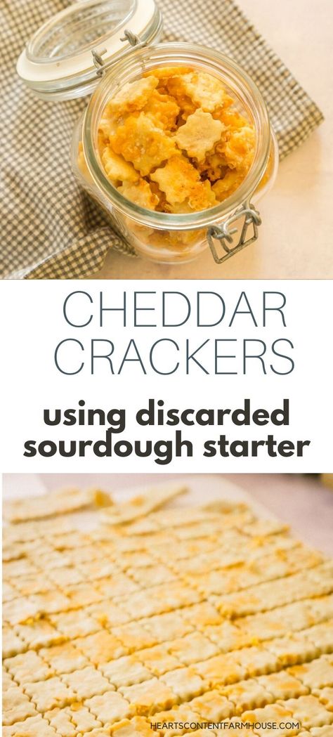 Dough Starter Recipe, Sourdough Ideas, Recipe Using Sourdough Starter, Cheddar Crackers, Pudding Chia, Sourdough Bread Starter, Sourdough Starter Discard Recipe, Homemade Sourdough Bread, Bread Starter