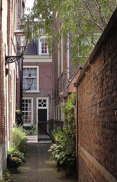 One of Leiden's small alleys. Alley Aesthetic, City Alley, Amsterdam City, Leiden, Plant Life, Interior Architecture Design, Dark Academia, The Netherlands, Interior Architecture