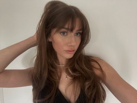 Long Hair With Messy Bangs, Long Light Brown Hair With Bangs, Mid Length Brown Hair With Bangs, Brown Hair With Highlights Bangs, Brown Hair With Fringe Bangs, Medium Brown Hair With Bangs, Light Brown Hair Bangs, Light Brown Hair With Bangs, Long Brown Hair With Bangs