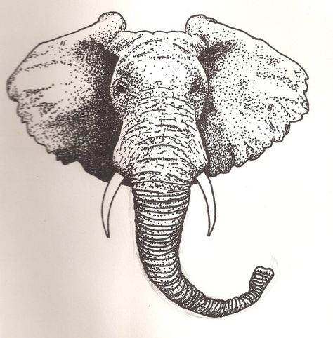 Elephant Face Drawing, Elephant Head Drawing, Elephant Sketch, Dibujos Tattoo, Head Drawing, Elephant Face, Stippling Art, Drawing Heads, Elephant Drawing