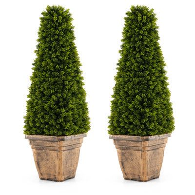 Add a Touch of Elegance and Natural Beauty to Your Surroundings! Our 35'' artificial boxwood topiary tree features a unique cone-shaped design, and is adorned with lush leaves that boast a natural gradient of colors, which can be a stunning addition to any home, garden, or office decor. Crafted with premium PE material, the fake potted boxwood tree is designed to be durable and long-lasting. Other than that, the faux plant requires no maintenance and there is no need to offer special attention, Cedar Plant, Potted Boxwood, Boxwood Tree, Fake Potted Plants, Tree Indoor, Topiary Tree, Topiary Plants, Artificial Topiary, Fake Trees