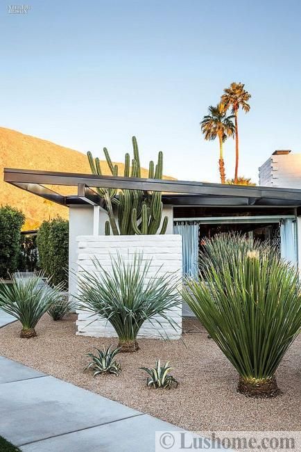 50 Concrete Walkway Ideas Adding Mid Century Modern Vibe to House Designs Mid Century Landscaping, Mid Century Landscape, Minimalist Garden, Palm Spring, Desert Garden, Desert Homes, Outdoor Summer, Outdoor Retreat, California Photography