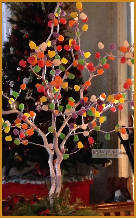 Gumdrop Tree Christmas, Gum Drop Tree, Gumdrop Tree, Craft Nights, Candy Trees, Gum Drop, Palmetto Tree, Candy Tree, Reference Board