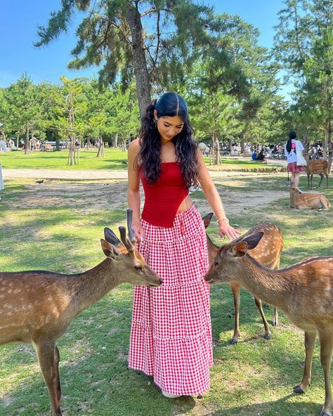 red top, red skirt, maxi skirt outfit, trendy outfit, aesthetic, coquette, outfit inspo, fashion, fashion outfits, picnic, japan, bows Red Picnic Outfit, Outfits Para Picnic, Red Skirt Outfits, Outfit Picnic, Picnic Skirt, Maxi Skirt Outfit, Instagram Japan, Picnic Outfit, Coquette Outfit