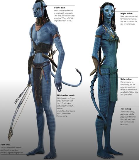 Avatar Cameron, Vi Cosplay, Blue Avatar, Avatar James Cameron, Avatar Films, The Aliens, Avatar Picture, Avatar Fan Art, Pandora Avatar