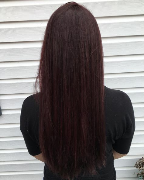 cool 50 Prepossessing Dark Red Hair Ideas - The Graceful Redhead Hairdos Check more at http://newaylook.com/best-dark-red-hair-ideas/ Brown With Hint Of Red Hair, Dark Red Hair Almost Black, Really Dark Red Hair Almost Black, Darker Hair Color Ideas Brunettes Dark, Dark Dark Red Hair, Really Dark Red Hair, Super Dark Red Hair, Very Dark Red Hair, Red Hair Ends