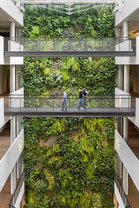 Indoor vertical garden By SUNDAR ITALIA Green Building Architecture, Atrium Design, Vertical Garden Indoor, Vertical Garden Design, Green Facade, Eco Architecture, Casa Patio, Garden Architecture, Green Architecture