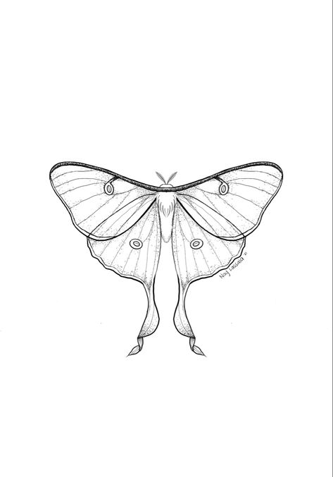 Luna Moths Tattoos, Luna Moth Tattoo Outline, Luna Moth Line Drawing, Tiny Moth Tattoo Simple, Moth Tattoo Line Art, Simplistic Moth Tattoo, Tiny Luna Moth Tattoo, Fine Line Luna Moth Tattoo, Lunar Moth Sketch