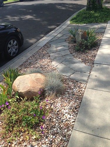 Curbside drought planting | Terry Reiser | Flickr Landscape Art Drawing, Lawn Free Yard, Sidewalk Landscaping, Xeriscape Front Yard, Landscape Ideas Front Yard Curb Appeal, Backyard Pool Ideas, Landscape Aesthetic, Landscape Garden Design, Garden Landscaping Ideas