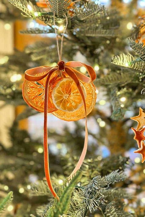 Discover 13 enchanting ways to create dried orange ornaments for your Christmas decor! Follow our step-by-step guide for a festive and fragrant holiday season. 🎄✨ #DIYChristmas #DriedOrangeOrnaments Dried Orange Vase, Christmas Trees With Dried Oranges, Dried Orange On Wreath, Diy Dried Fruit Ornaments, Dried Orange Ornaments Diy, Dehydrated Oranges Christmas Tree, Orange Clove Ornament, Fall Nature Decor, Diy Dried Orange Ornaments