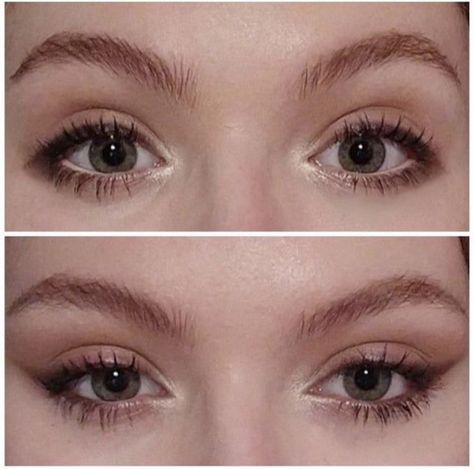 "Oh Christmas brow, oh Christmas brow, how lovely are your arches... Cute Cat Eye Makeup, Wide Set Eyes Aesthetic, Puppy Eyeliner Makeup Looks, Puppy Makeup Aesthetic, Puppy Eyeliner Aesthetic, Puppy Dog Eye Makeup, Puppy Liner Hooded Eyes, Cat Like Makeup, Round Eyes Aesthetic