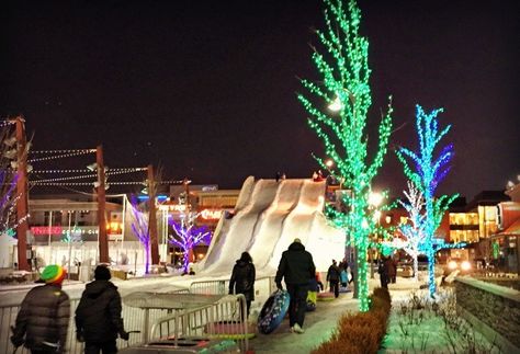 Frozemont Winter Tubing Hill in Rosemont, Illinois Winter Tubing, Rosemont Illinois, O Hare, Convention Center, Winter Travel, In The End, Vacation Destinations, Getting To Know, Winter Wonderland