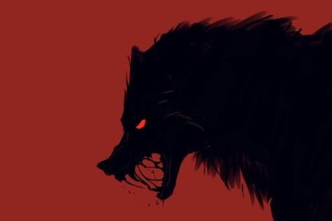 Angry Wolf Art, Wolf Digital Art, Wolf Growling, Wolf Animation, Sketch Animation, Demon Wolf, Shadow Wolf, Werewolf Art, Blood Art