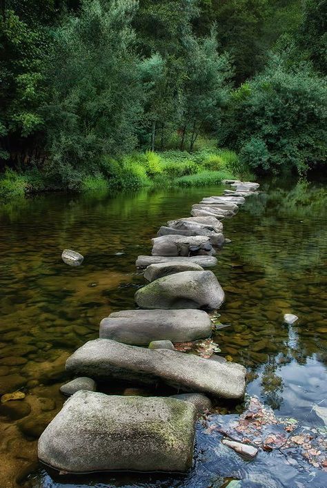 rock path Stone Path, Garden Stones, Shade Garden, Garden Paths, Water Features, Nature Beauty, A Walk, Beautiful World, Secret Garden