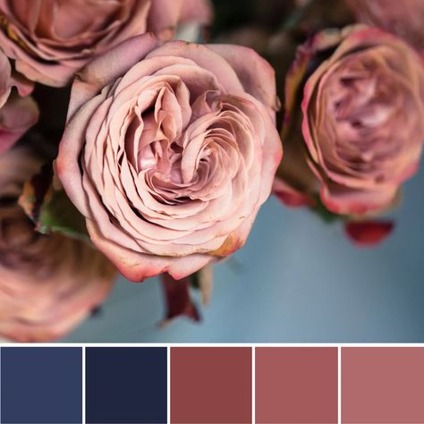 dusty rose and navy color palette Navy Blue Wedding Color Schemes, Wedding Color Theme Ideas, Blue Paint Palette, Wedding Color Schemes Blue, Navy Color Scheme, Navy Color Palette, Navy Wedding Colors, Navy Blue Paint, Wedding Color Palettes