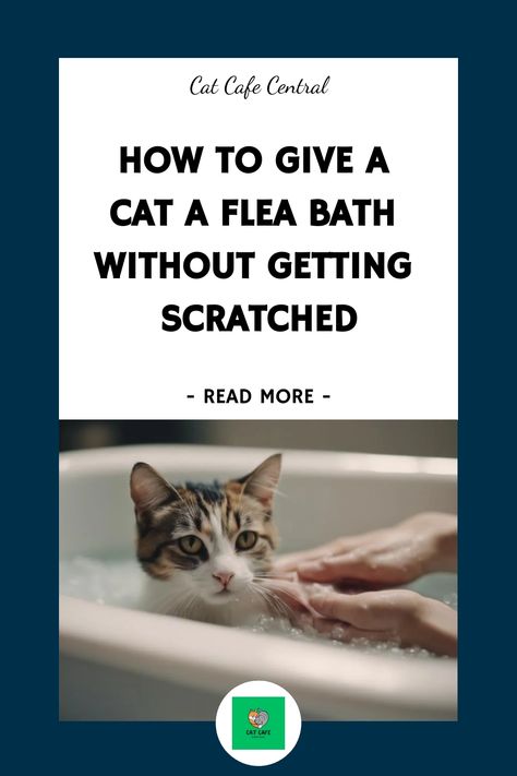 😻🚿 Keep your kitty clean and scratch-free with these tips for giving a flea bath without the scratches! #catlovers #fleatreatment #scratchfree Cat Bathing Tips, Fleas Remedies For House Cat, How To Get Rid Of Fleas On Cats, Flea Remedy For Cats, Flea Bath For Cats, Fleas On Kittens, Dangerous Cat, Flea Remedies, Flea Shampoo