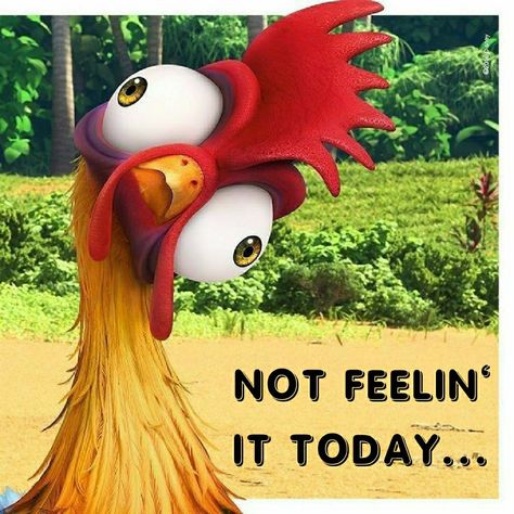 Good Morning Funny Pictures, Cartoon Chicken, Rooster Art, Chicken Art, Chicken Humor, Funny Cartoon Quotes, Cute Disney Wallpaper, Funny Animal Pictures, Disney Drawings