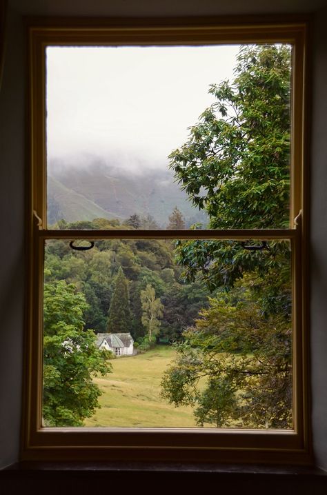 View Out Of Window, Window View City, Cabin Windows, Window Views, City Tree, A Room With A View, Room With A View, Living The Life, Huge Windows