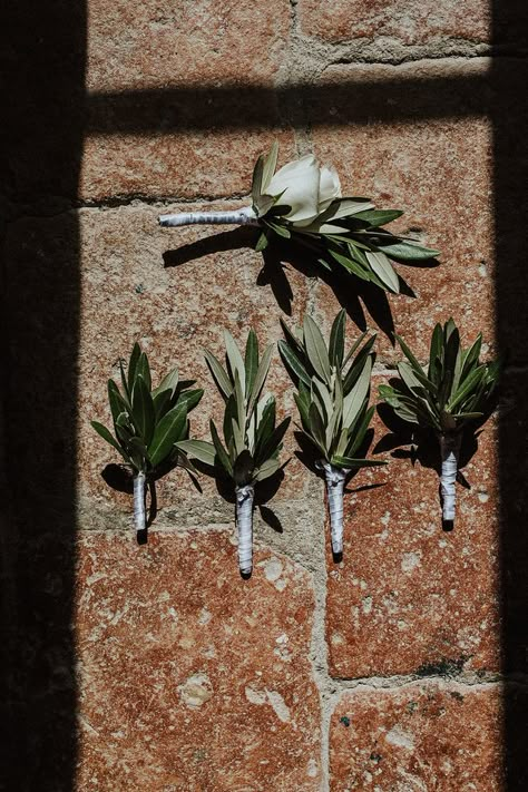 Wedding Bouquet With Olive Branches, Wedding Bouquets With Olive Leaves, Olive Leaf Bouquet Wedding, Olive Leaf Boutonniere, Olive Foliage Wedding, Olive Green Wedding Florals, Wedding Olive Leaves, Olive Wedding Bouquet, Olive Leaf Wedding Decor