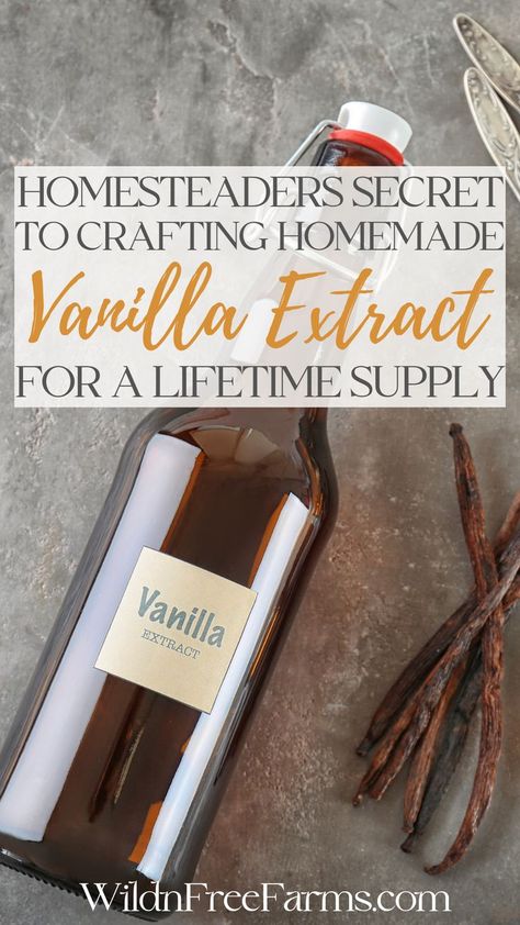 homemade vanilla extract Homemade Extracts, Diy Extracts, Make Vanilla Extract, Vanilla Extract Recipe, Homemade Vanilla Extract, Gifts Creative, Dark Chocolate Cookies, Homemade Condiments, Homemade Spices