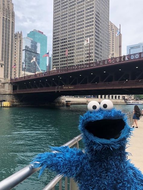 Windy City, Cookie Monster, Stuffed Animal, Love You, On Twitter, Twitter, Blue