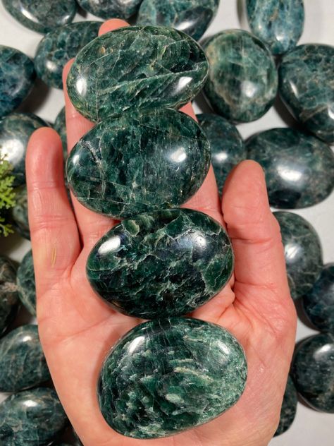 Outstretched Palm holding dark green Apatite rounded palm stones Green Apophyllite Meaning, Green Apatite, Green Large Stone Gemstones For Healing, Luxury Green Polished Gemstones, Green Faceted Spiritual Beads, Apatite Stone, Minerals And Gemstones, Rocks And Minerals, Stones And Crystals