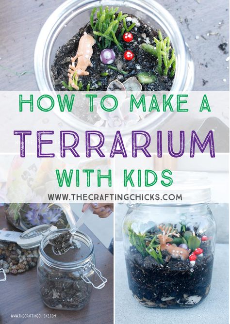 Terrarium Diy Kids, Terrarium For Kids, Terraria Party, Make A Terrarium, Build A Terrarium, Bottle Terrarium, Terrarium Wedding, Terrarium Supplies, Miniature Terrarium