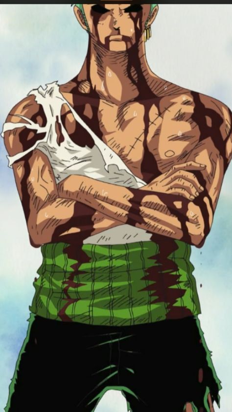 Zoro after kuma fight Doflamingo Wallpaper, One Piece Gif, One Piece Figure, One Piece Wallpaper Iphone, Shared Folder, Zoro One Piece, One Piece Pictures, Japanese Manga Series, Manga Anime One Piece