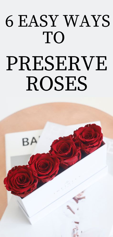 From holiday celebrations to weddings and everything in between, roses are the perfect way to commemorate life’s special moments. Here are 6 easy methods on how to preserve roses. #preservedroses #preserveroses #rosesinabox #rosesthatlastayear #redroses #rosebox #howtopreserveroses Preserved Roses Bouquet, How To Dry Roses In Oven, How To Store Flowers Forever, Ways To Preserve Roses, How To Make Forever Rose, How To Persevere Roses, How To Save Roses Forever Dried Flowers, How To Save A Rose Forever, How To Preserve Roses Forever