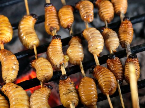 Coconut Tree Grubs in Iquitos : 10 Most Bizarre Foods in the World : TravelChannel.com Chinese Street Food, Andrew Zimmern, Bizarre Foods, Protein Rich Foods, Just Eat It, Exotic Food, Weird Food, Coconut Tree, Unique Recipes