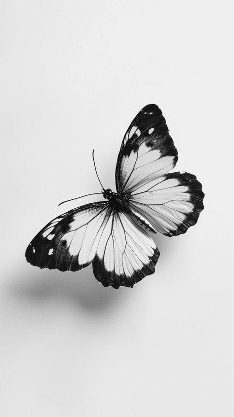 Pretty Black And White Pictures, Butterfly Realism Tattoo, Butterfly White Aesthetic, Black And Gray Butterfly Tattoo, Butterfly Drawing Black And White, White Butterfly Drawing, Tattoos Of Butterflies, Butterfly White Background, Butterfly Tattoo Black And White