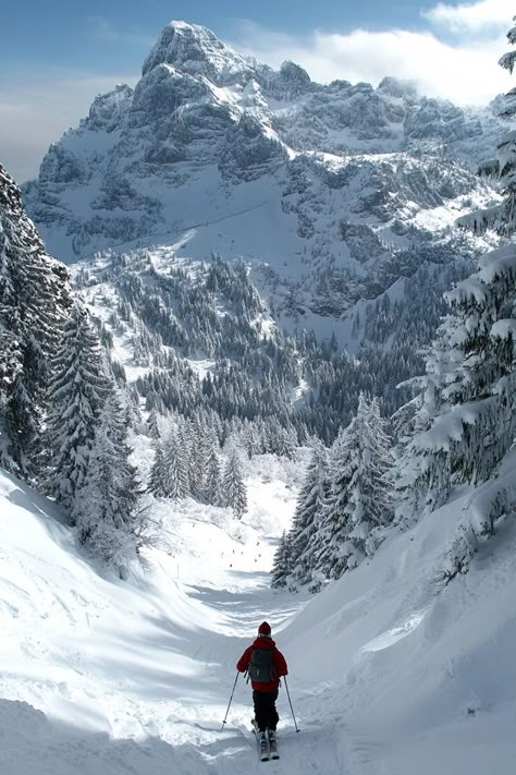 "Hit the slopes with Skiing in the Alps! ⛷️🏔️ Enjoy world-class skiing, stunning alpine views, and cozy après-ski moments. ❄️⛷️ #AlpsSkiing #WinterSports #MountainAdventure" Skiing Alps Aesthetic, Skiing In Italy Alps, Skiing In Europe, Alps Aesthetic, Canada Skiing, Austria Skiing, Skiing In The Alps, Skiing Mountains, Euro Winter